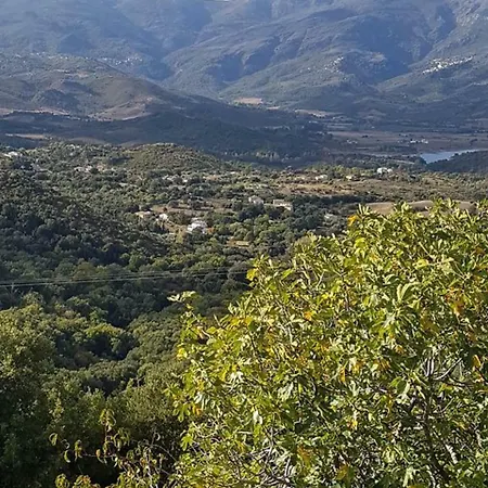 Appartement Olivacce Lucciana (Corsica)