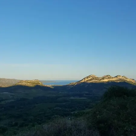 Olivacce Apartman Lucciana