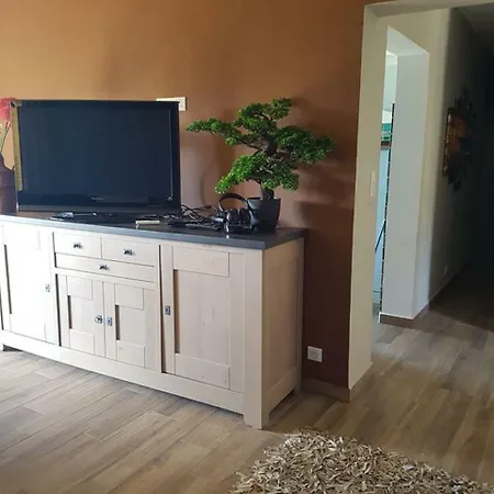 Apartman Olivacce Lucciana